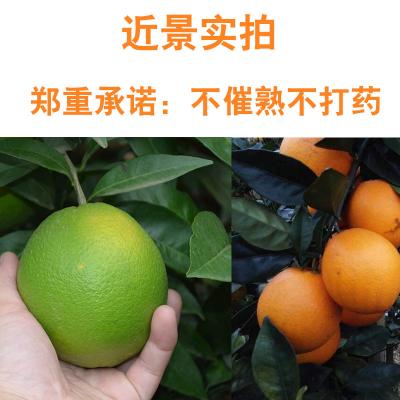 贛南臍橙產(chǎn)地直發(fā)臍橙現(xiàn)摘現(xiàn)發(fā)10斤