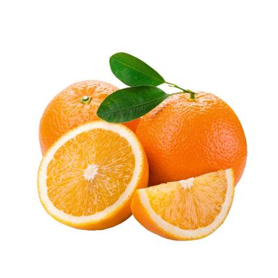 贛南臍橙產(chǎn)地直發(fā)臍橙現(xiàn)摘現(xiàn)發(fā)10斤