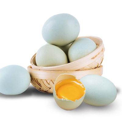 三餐農場散養(yǎng)綠殼土雞蛋30枚